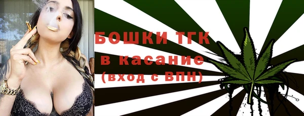 экстази Арсеньев