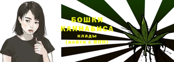 дмт Новокубанск