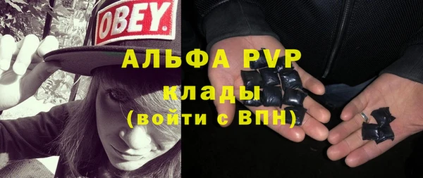 гашик Аркадак
